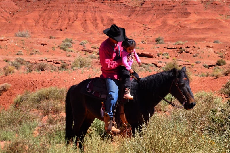 Outdoor Plant Options